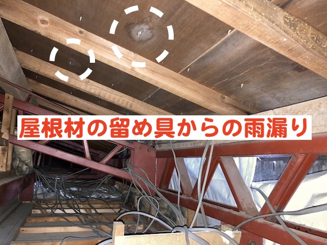 屋根材の留め具から雨漏り跡を発見