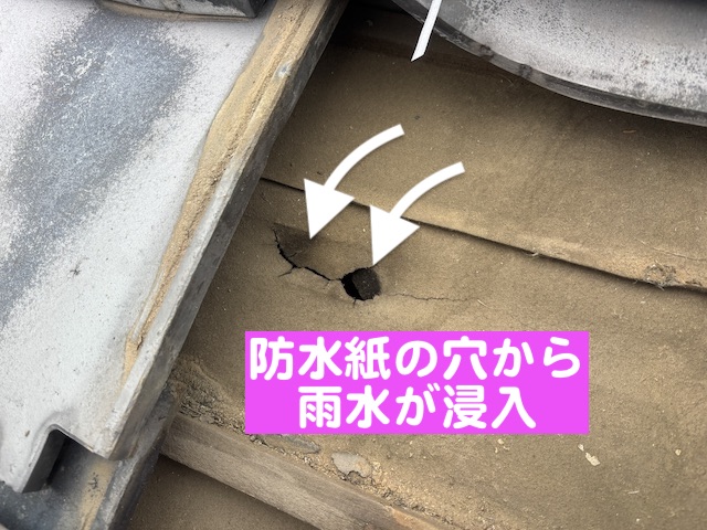 下に折れて破れた防水紙の穴から雨水が浸入