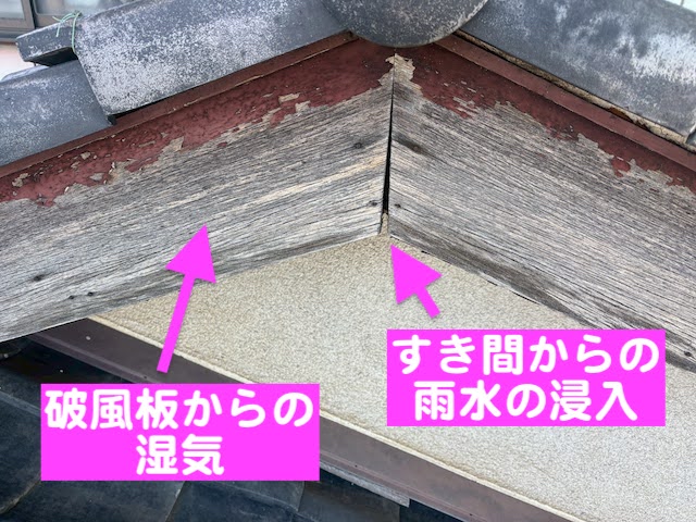 結城市　軒天の穴あき破損を調査　軒天材破損メカニズム解説用の写真