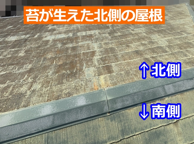 苔が生えた北側の屋根