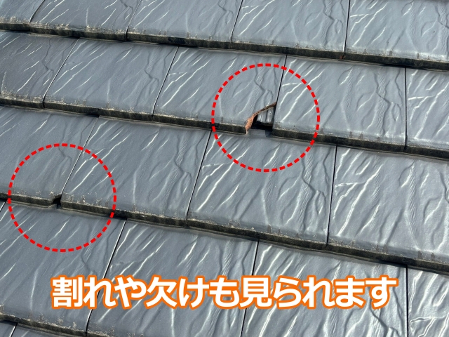 割れや欠けも見られます