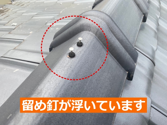 棟瓦の留め釘が浮いています