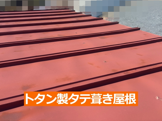 トタン製タテ葺き屋根を調査