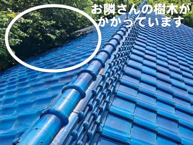 栃木市　瓦屋根の雨漏り対策強化（葺き直し）　屋根にかかった樹木の写真