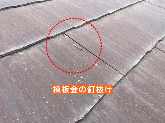 棟板金の釘抜け