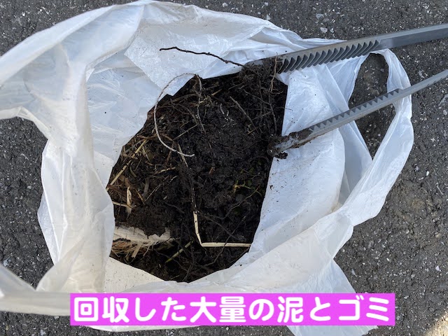 真岡市 雨樋詰まりの原因はPマス 詰まっていたゴミの写真