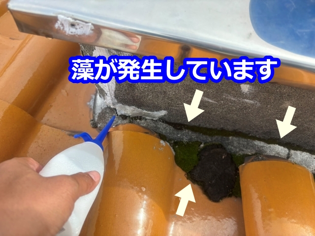 飾り煙突に発生した藻