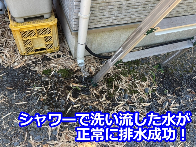 シャワーで洗い流した水が 正常に排水成功！