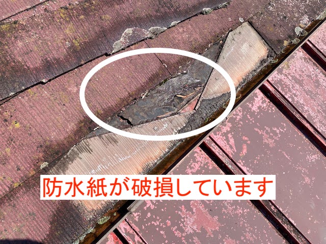 ヒビ割れた平板スレートの下の防水紙が破損