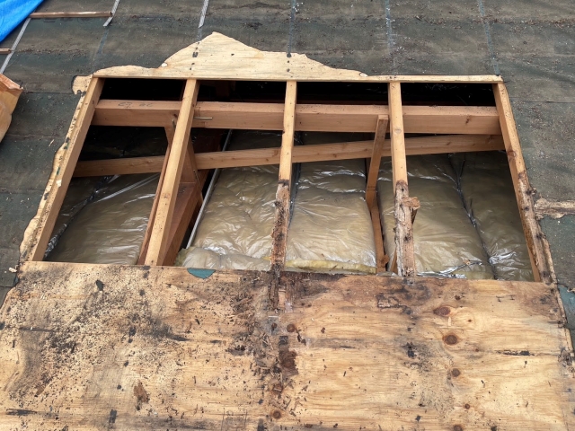 垂木の補強を行います