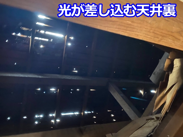 天井裏から見上げると屋根下地から光が差し込んでいます