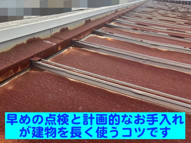 小山市　築35年のアパート屋根を調査　サビが広がった瓦棒トタン屋根の写真