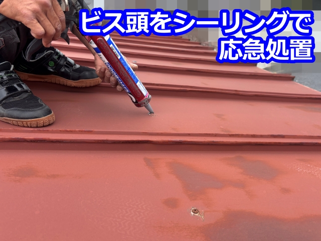 ビス頭をシーリングで応急処置