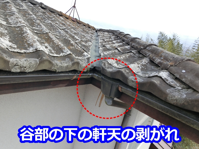 谷部の下の軒天の剥がれ