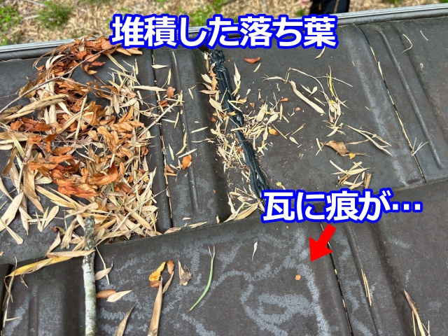 笹の葉が降り積もると瓦の隙間や雨樋に落ち葉が積もるのでこまめな清掃が必要