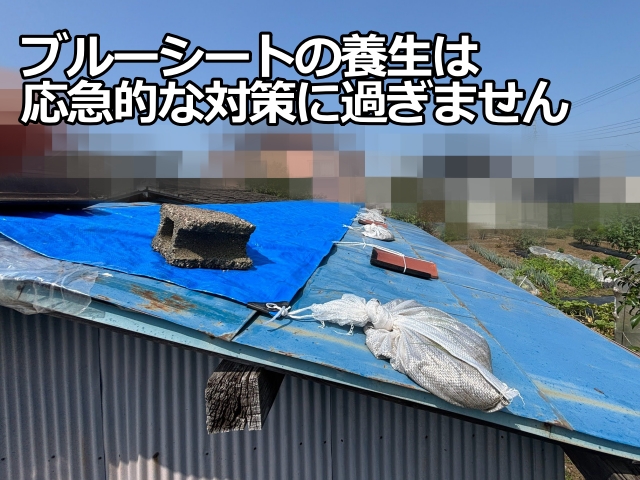 ブルーシートの養生はあくまでも応急処置に過ぎません