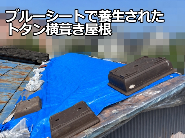 ブルーシートで養生された物置の屋根