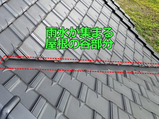 雨水が集まる屋根の谷部分