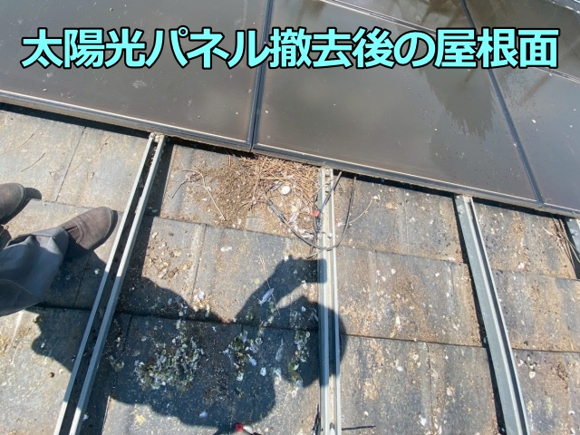 太陽光パネル撤去後に現れたフン害や巣材の全体写真