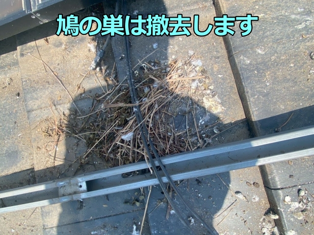 鳩の巣は撤去しました