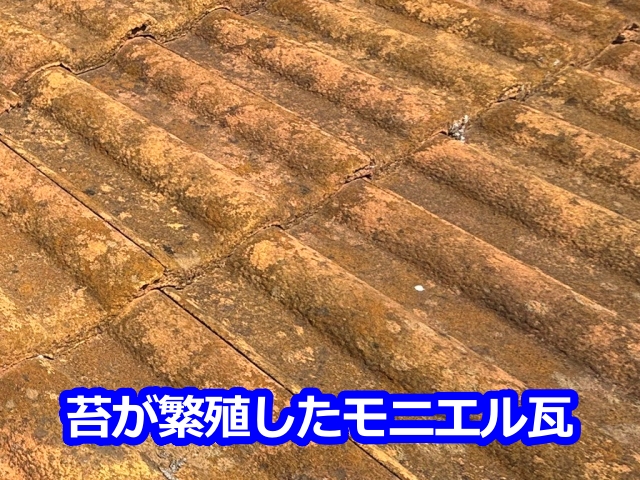 苔が繁殖しているモニエル瓦