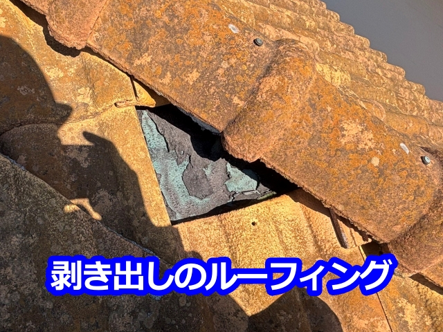 剥き出しのルーフィング