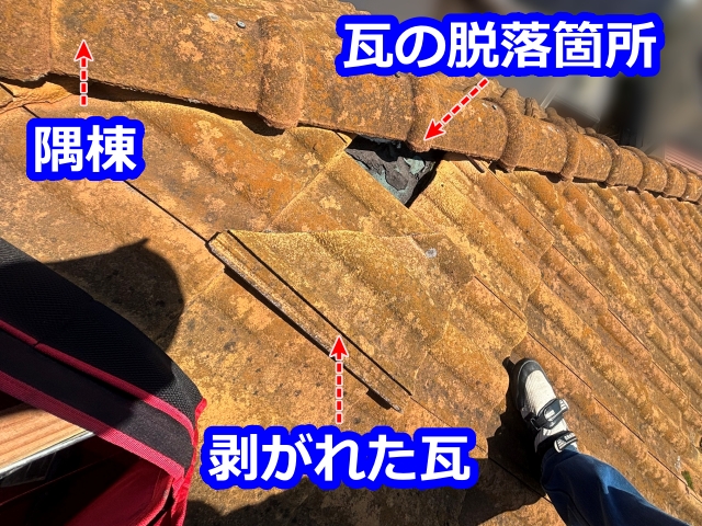 隅棟と緩衝する瓦が脱落
