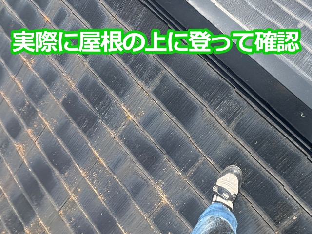 実際に屋根の上に登って確認