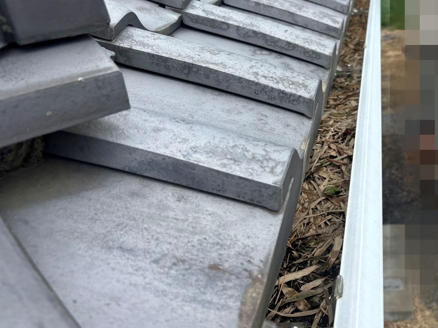 雨樋内部のヘドロ状堆積物