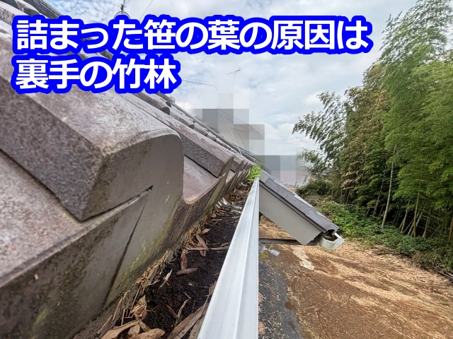 雨樋に詰まった笹の葉は、裏手にある竹林が原因
