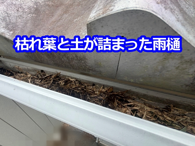 枯れ葉と土が詰まった雨樋