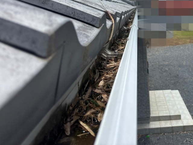 4面ネット設置よりも5年おきに定期的に雨樋清掃がコスト面でベスト