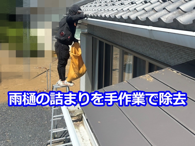 雨樋の詰まりを手作業で除去