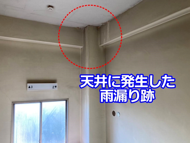 階段踊り場で雨漏りの跡を確認。雨天時には天井付近から水滴が落ちてくる状態です