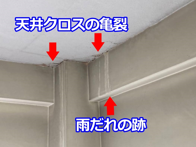 天井クロスには亀裂が入っており、かなり前から雨漏りしていた模様