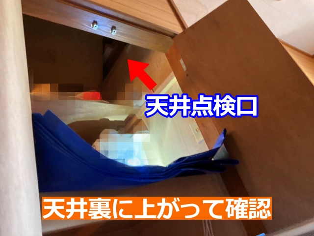 天井裏に上がって確認します