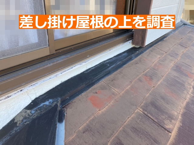 差し掛け屋根の上を調査