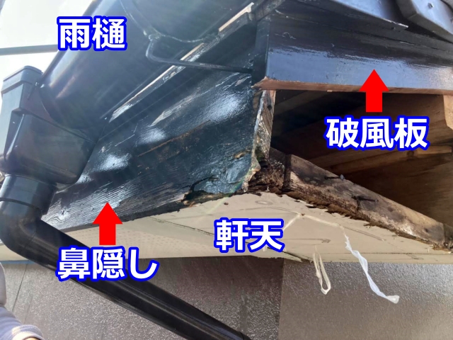 軒天だけでなく鼻隠しや破風板にも傷みが