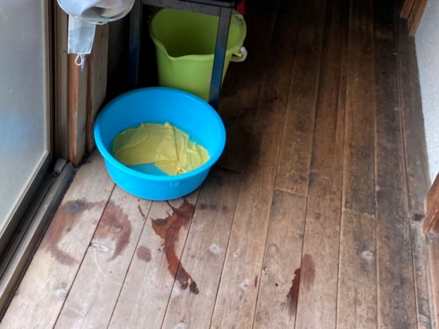 昨晩の雨でも雨漏りし、たらいで受け止めていました