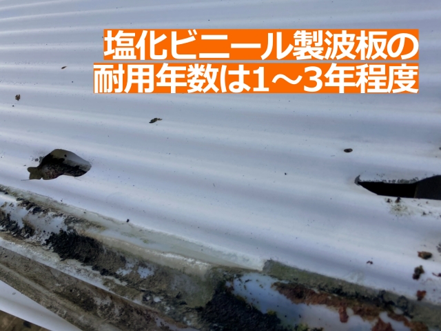 塩化ビニール製波板の耐用年数は1～3年