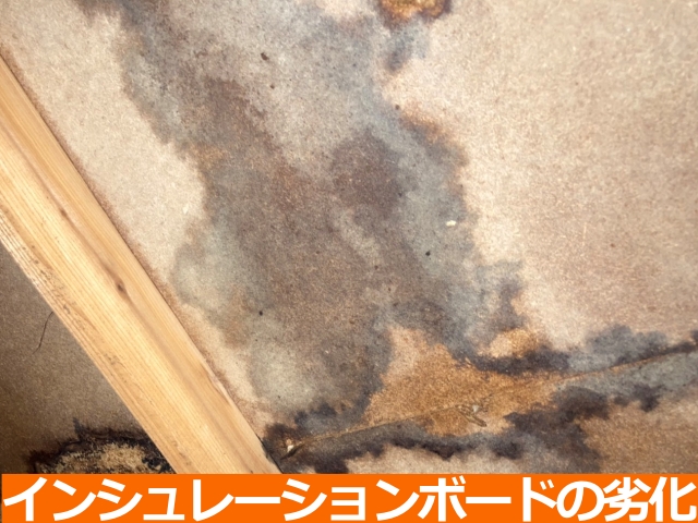 屋根下地インシュレーションボードの劣化を確認