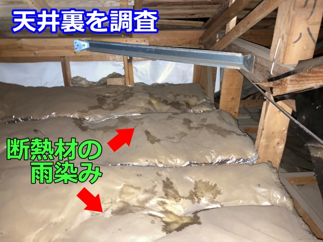 天井裏の調査開始。断熱材に広がる雨染み