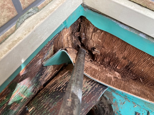 ドレン回りはちょっと触れただけで穴があいてしまう状態