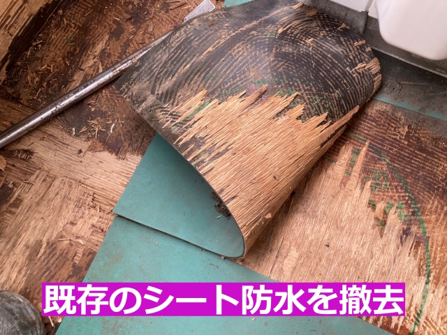 既存のシート防水を撤去
