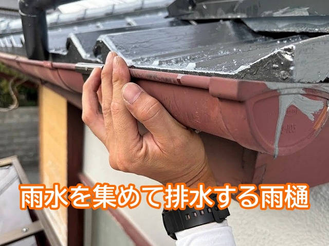 雨水を集めて排水する役割を担う雨樋