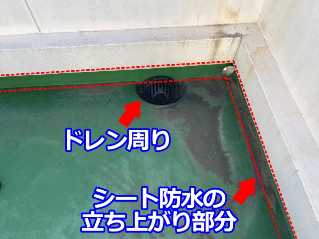 防水層の端部や立ち上がり部分に経年劣化が見られます