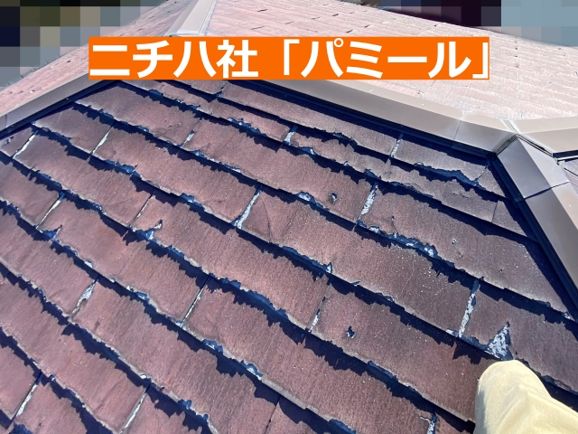 ニチハ社「パミール」