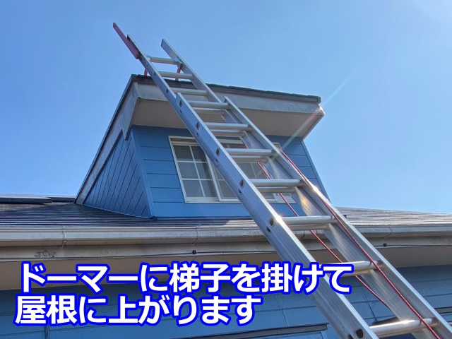 ドーマーに梯子を掛けて上がります