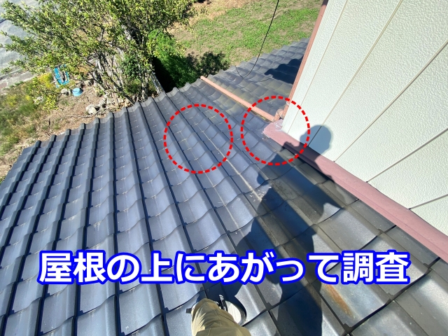 天井裏で判明した2か所の雨漏りを屋根の上から調査します