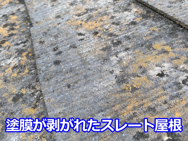 塗膜が剥げてセメント基材が露出しているスレート屋根